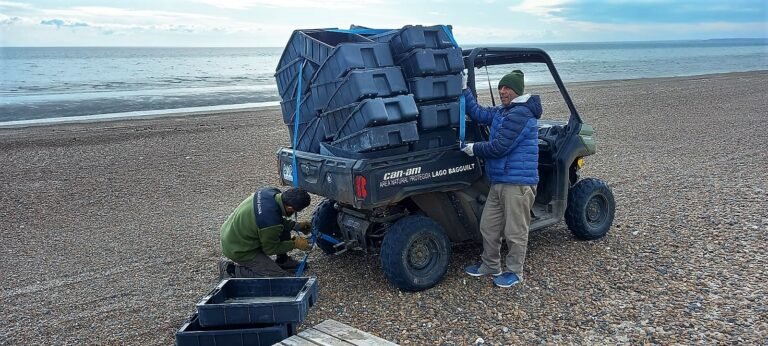 Retiraron 800 cajones pesqueros de las costas de Península Valdés
