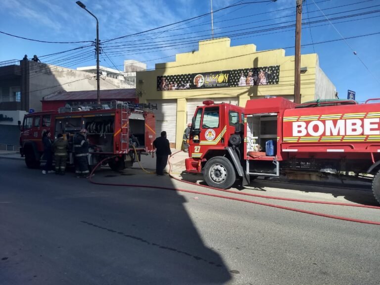 Dejó el alimento para perros cerca del calefactor y provocó un incendio