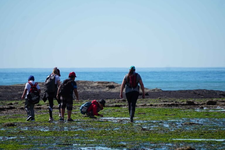 Vedas vigentes por Marea Roja en los Golfos San Matías, San José y Nuevo