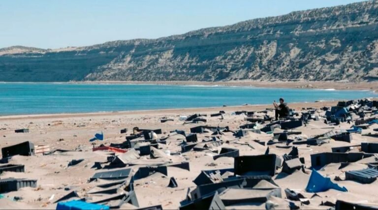 Buscan sacar 20 toneladas de plástico de una playa de Península Valdés