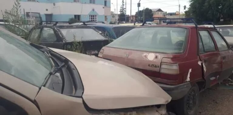 Entró a una comisaría, intentó llevarse la cubierta de un auto y fue detenido