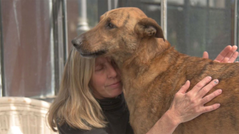 Se perdió y luego de dos meses se reencontró con su familia