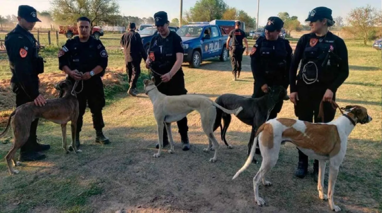 Más de 60 galgos rescatados fueron devueltos a sus explotadores