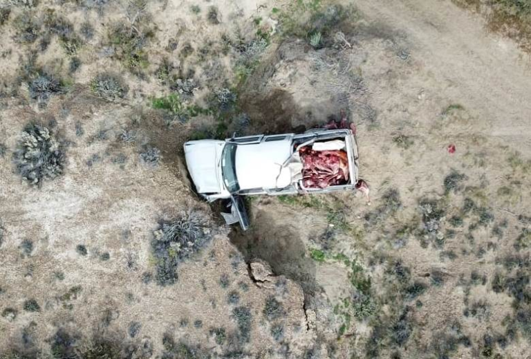 Ruta 3: una camioneta que llevaba carne faenada cayó en un zanjón