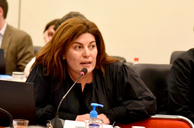 Romero: “El Presupuesto Nacional deja de lado a Chubut nuevamente”