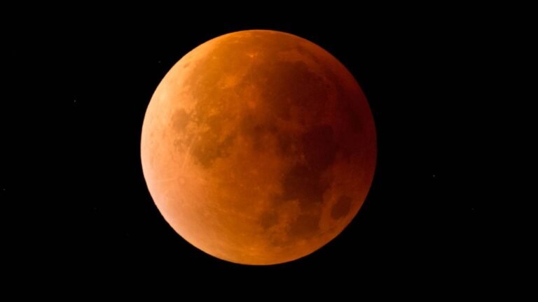 Eclipse lunar de noviembre: cuándo, dónde y cómo verlo