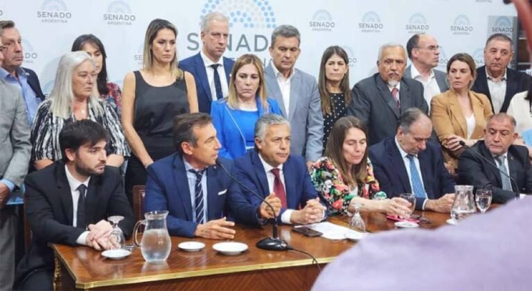 Torres denunció un nuevo atropello institucional del kirchnerismo