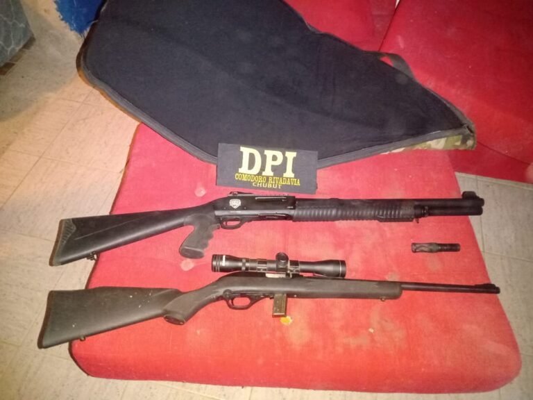 Ingresó a un domicilio mientras su moradora dormía y amenazó con un arma