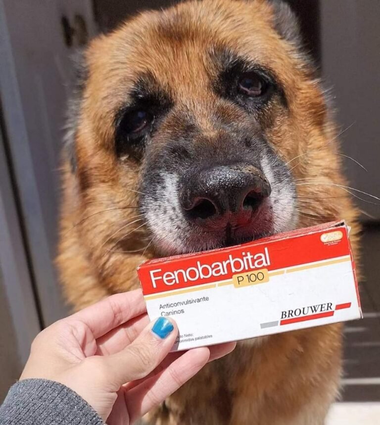 Realiza retratos para comprar la medicación a su mascota que sufre de epilepsia