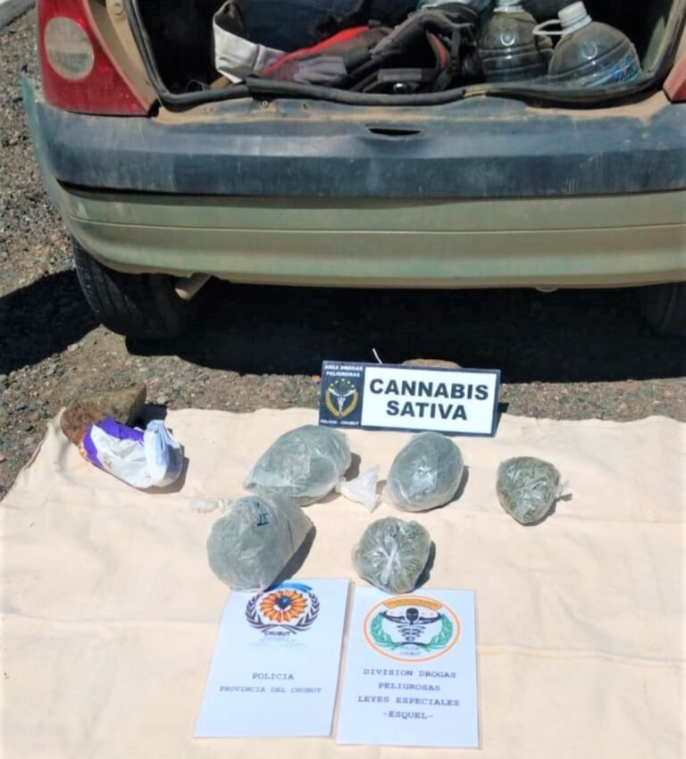 La Policía secuestró 1.000 dosis de marihuana