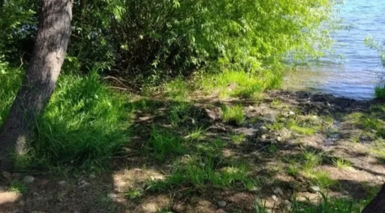 Golpearon e intentaron ahogar a un hombre que impidió que abusaran de una chica