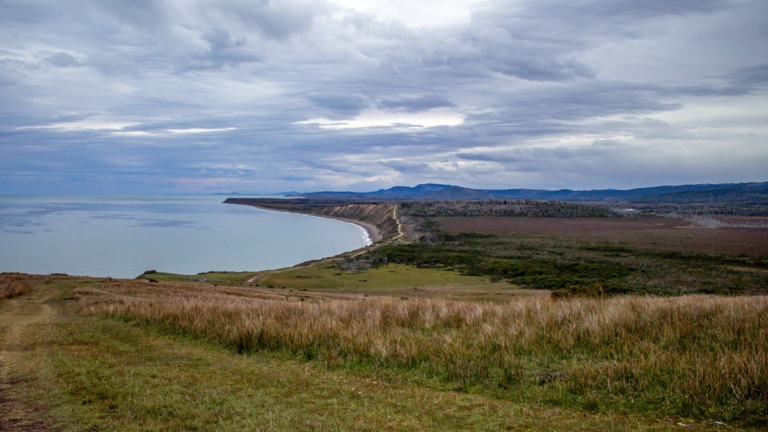 Científicos y artistas piden por la protección de la Península Mitre