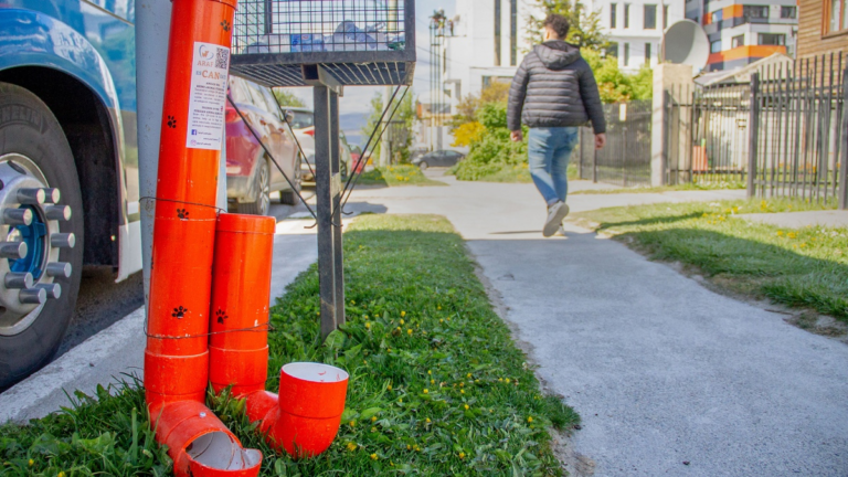 Polémica por la instalación de comederos para perros en las calles