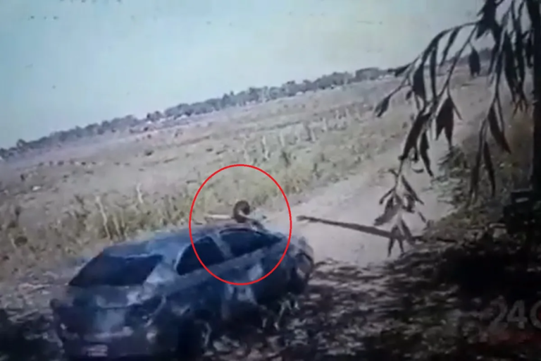 Un remisero embistió a una mujer que le pidió que manejara más despacio