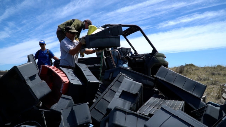 Península Valdés: se recolectaron casi 800 cajones plásticos pesqueros