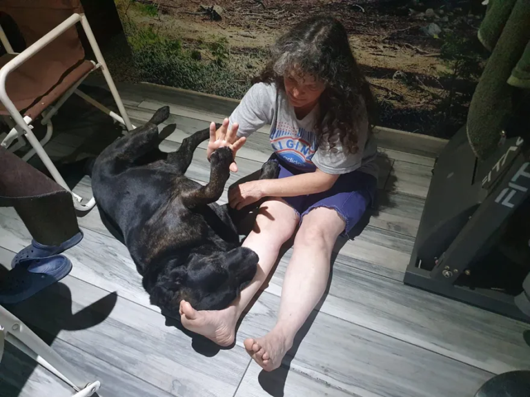 Creyó haber encontrado a su perro pero se llevó una sorpresa al verlo