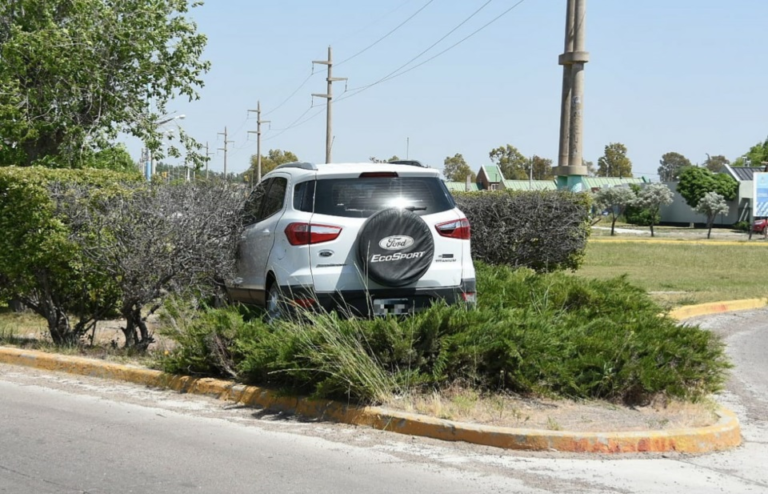 Se desvaneció por el calor mientras manejaba y terminó sobre una rotonda