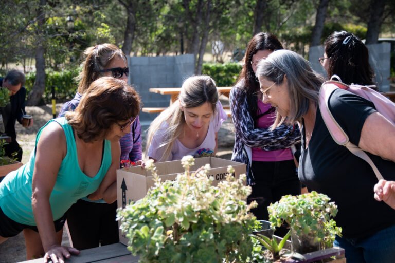 Vuelve Rada Verde: Encuentro de intercambio de plantas, semillas y saberes