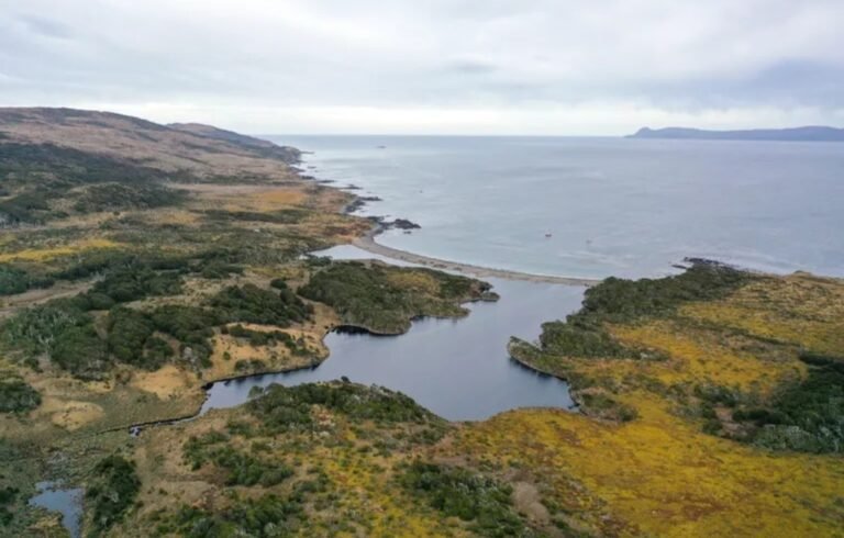 Península Mitre: uno de los últimos lugares del planeta sin contaminar y lo declararon área natural protegida