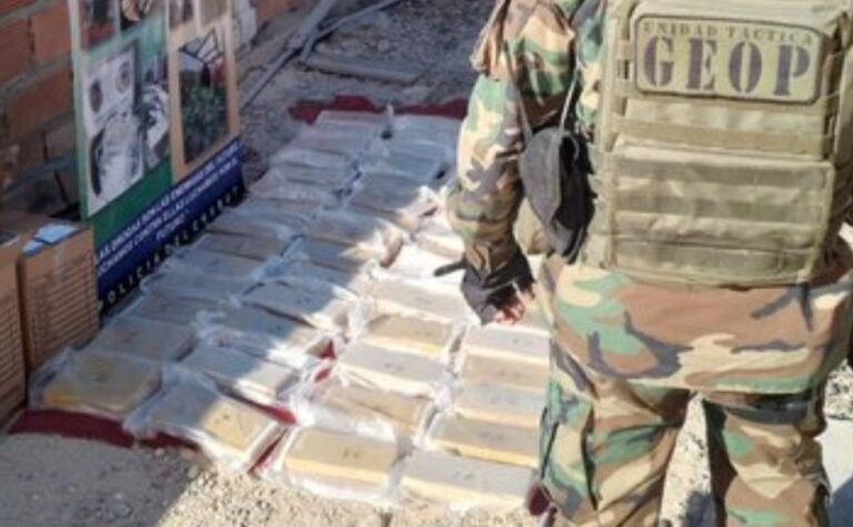 Utilizaban una carnicería para el narcotráfico y venta de drogas