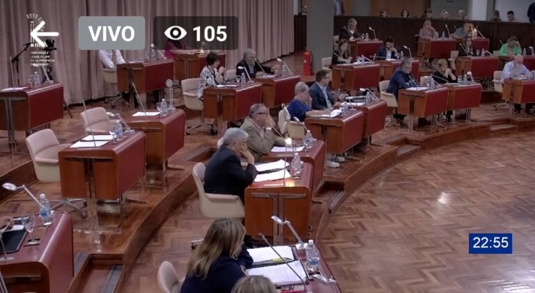 Se aprobó la derogación de las PASO