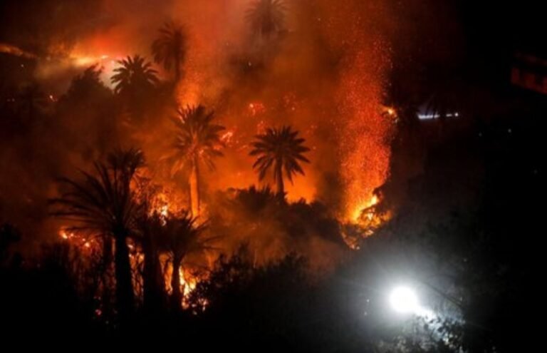 Chile decretó el estado de catástrofe y hay más de 100 hectáreas de bosque destruidas 