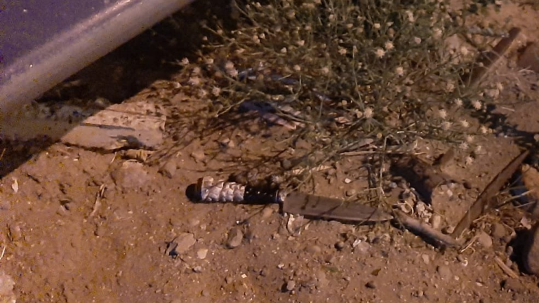 Asaltó a una mujer con un arma blanca y fue detenido por la Policía