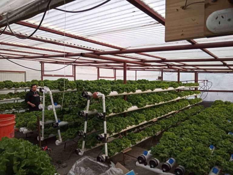 Se inaugurará el primer mercado agropecuario de la ciudad