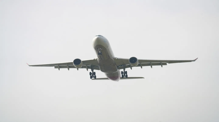 Una pasajera dio a luz en pleno vuelo: no sabía estaba embarazada