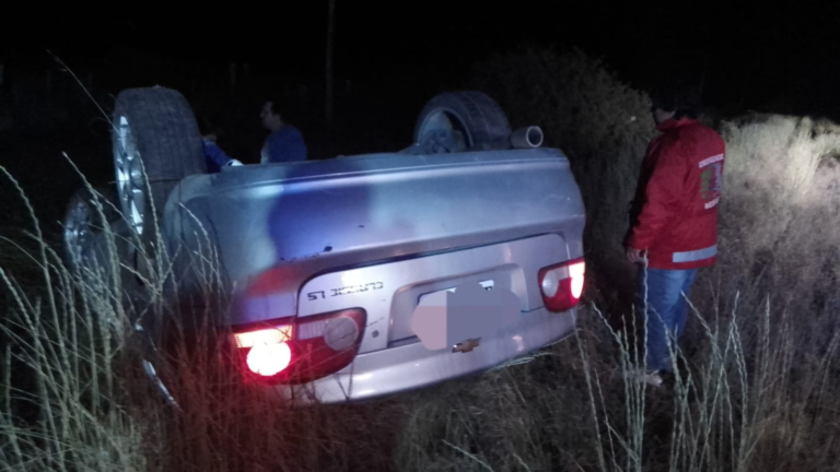 Quiso esquivar una oveja y volcó: la alcoholemia le dio positivo