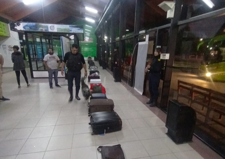Secuestraron hongos y marihuana en una terminal de colectivos