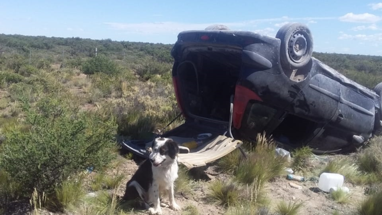 Volcaron y su perro se quedó al lado de ellos cuidándolos