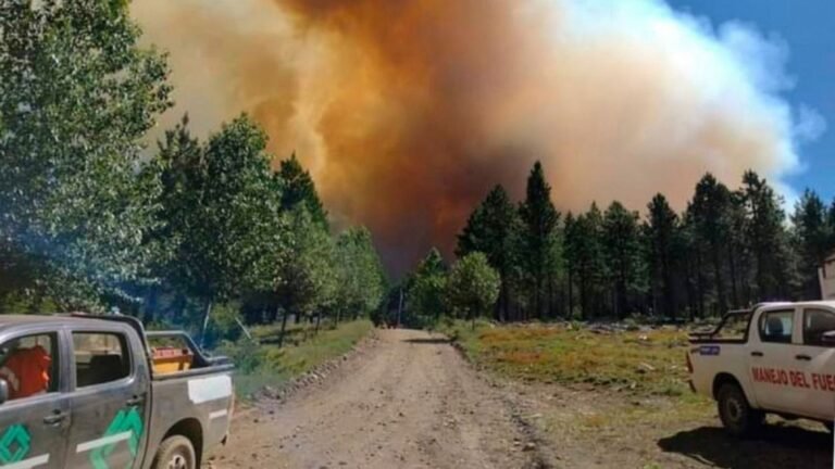 En lo que va del año se quemaron 2.400 hectáreas en 14 incendios forestales en la Cordillera