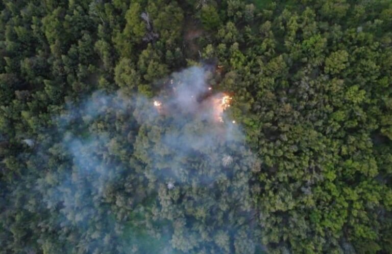 Lograron disminuir la intensidad del incendio en el Parque Los Alerces
