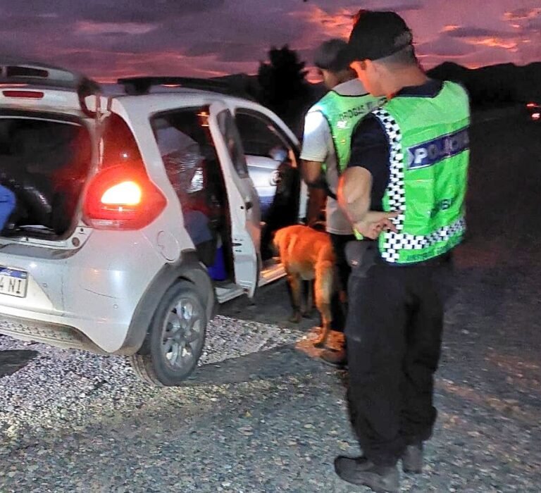 Secuestraron marihuana y cartones con LSD