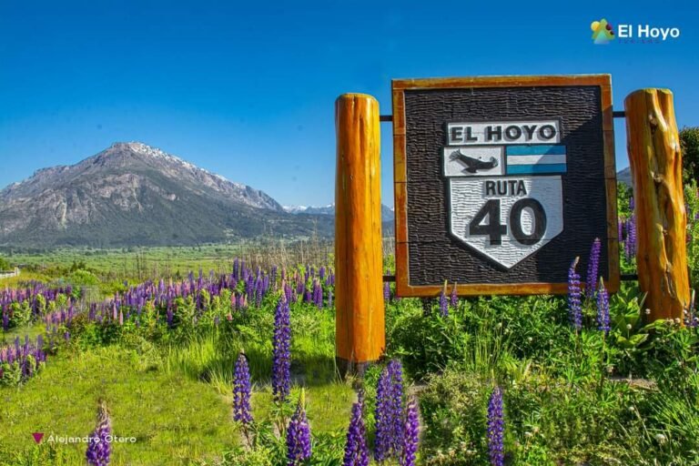 Comienza la Fiesta Nacional de la Fruta Fina en El Hoyo