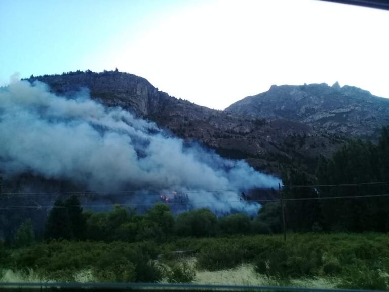 Combaten un gran incendio en El Pedregoso
