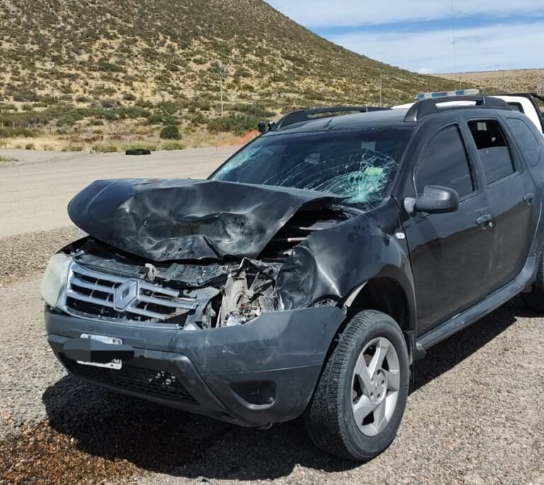 Circulaba por Ruta 3 y chocó contra un guanaco