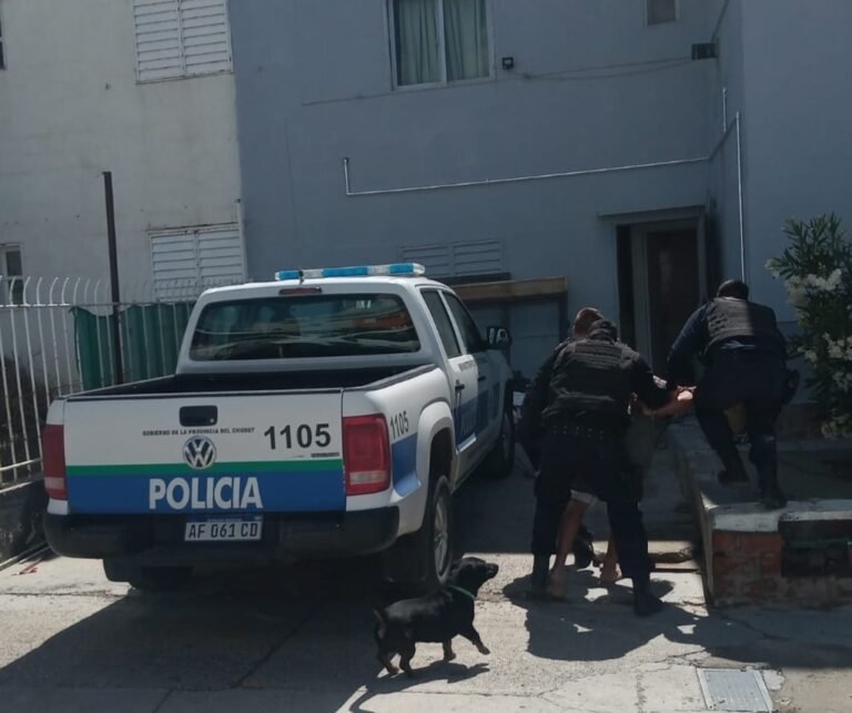 Dañó el cristal de una carnicería y de un vehículo