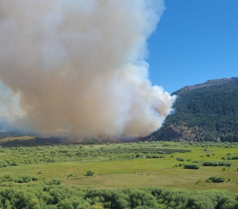 Debieron evacuar a vecinos por el voraz incendio en el Cerro Currumahuida