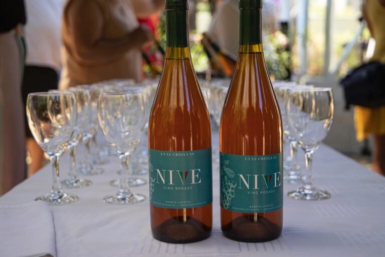 Presentaron los vinos comodorenses Cosecha 2022
