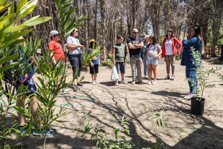 Intercambiaron residuos orgánicos por árboles producidos en el vivero municipal