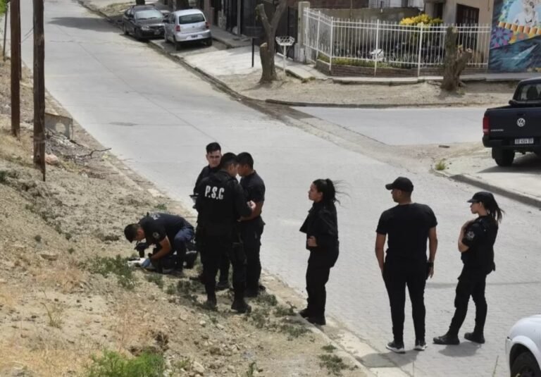 Robó un utilitario, lo abandonó y quiso dispararle a un efectivo policial