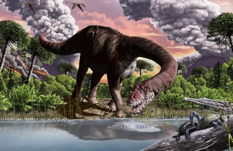 Descubren inusuales “patinadas” de dinosaurios de 130 millones de años