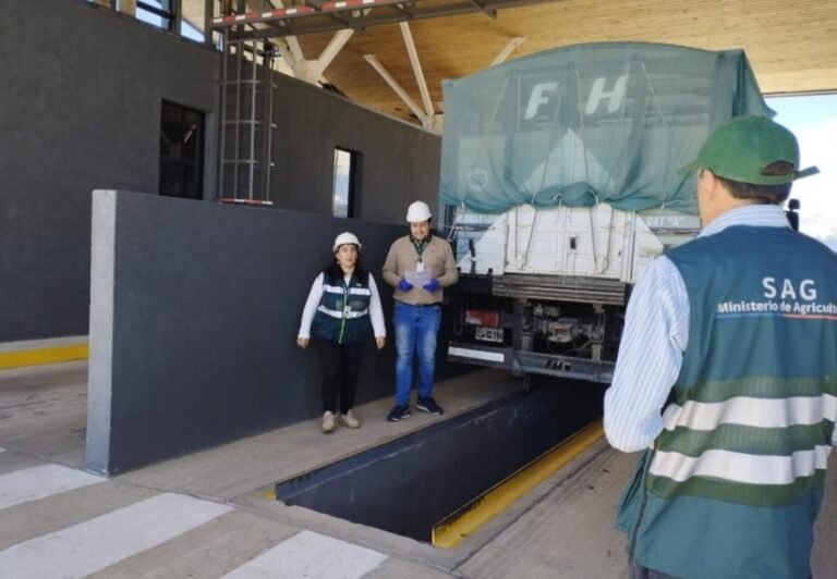 Histórico: Se concretó la primera exportación de bovinos en pie con destino a Chile