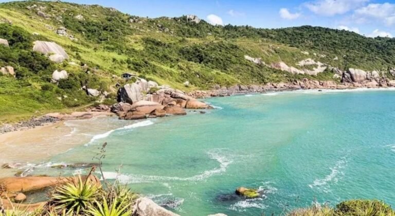 Misteriosa epidemia de diarrea tiene en alerta a Florianopolis: 1.251 casos y causas desconocidas