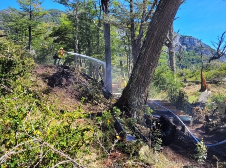 Turistas brasileños enfrentarán causa penal y deberán pagar una multa