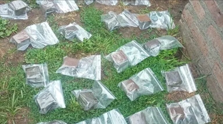 Atrapan a una pareja que vendía “brownies locos” en El Bolsón