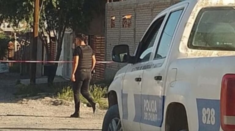 Un chico de 14 años mató a un hombre que agredía a una mujer