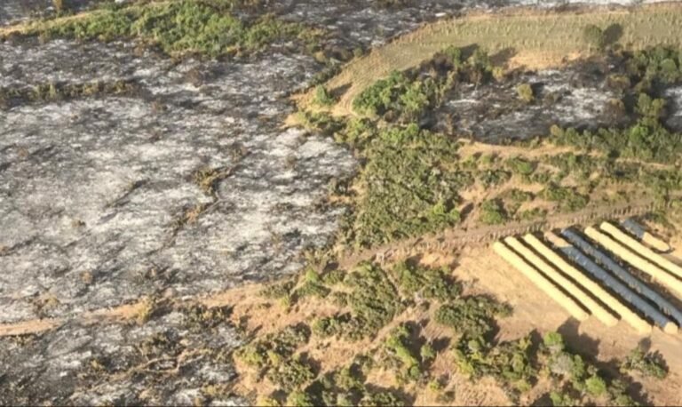 Quedaron contenidos los incendios en el Parque Los Alerces y en Paso Ancho